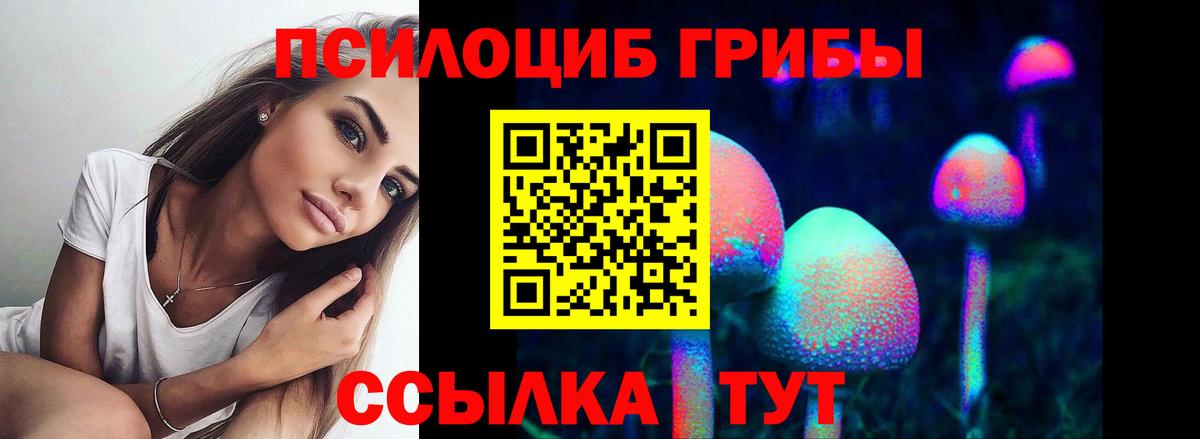Галлюциногенные грибы Psilocybine cubensis Протвино